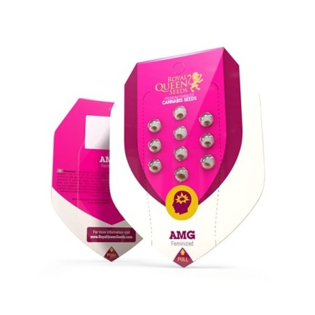 AMG (Amnesia Mac Ganja) semi cannabis Royal Queen Seeds