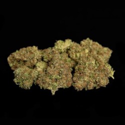 Atlas F1 Auto semi cannabis Royal Queen Seeds