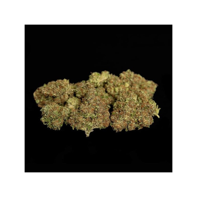 Atlas F1 Auto semi cannabis Royal Queen Seeds