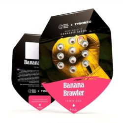 Banana Brawler (Tyson Collab) semi cannabis Royal Queen Seeds
