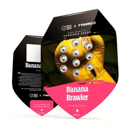 Banana Brawler (Tyson Collab) semi cannabis Royal Queen Seeds