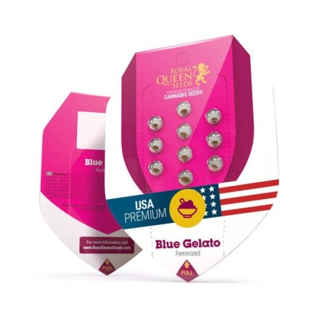 Blue Gelato semi cannabis Royal Queen Seeds