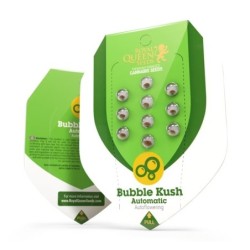 Bubble Kush Auto semi cannabis Royal Queen Seeds