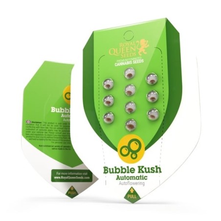 Bubble Kush Auto semi cannabis Royal Queen Seeds