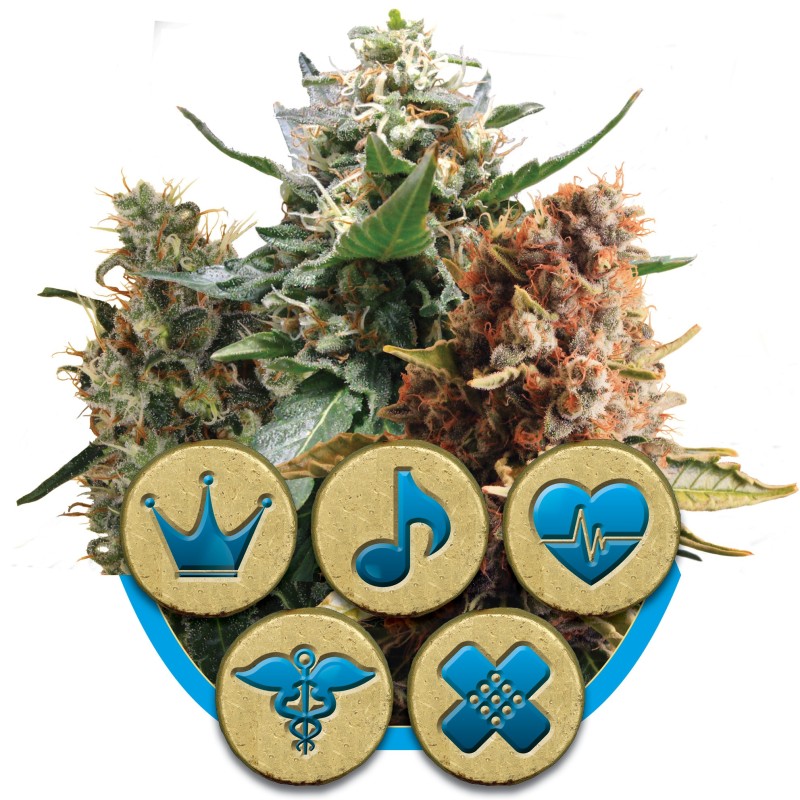 CBD Mix Royal Queen Seeds - confezione 1