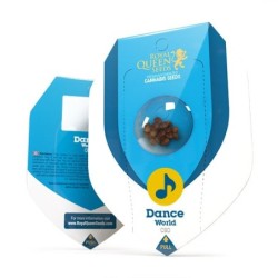 Dance World CBD semi cannabis Royal Queen Seeds