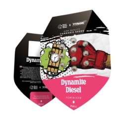 Dynamite Diesel semi cannabis Royal Queen Seeds