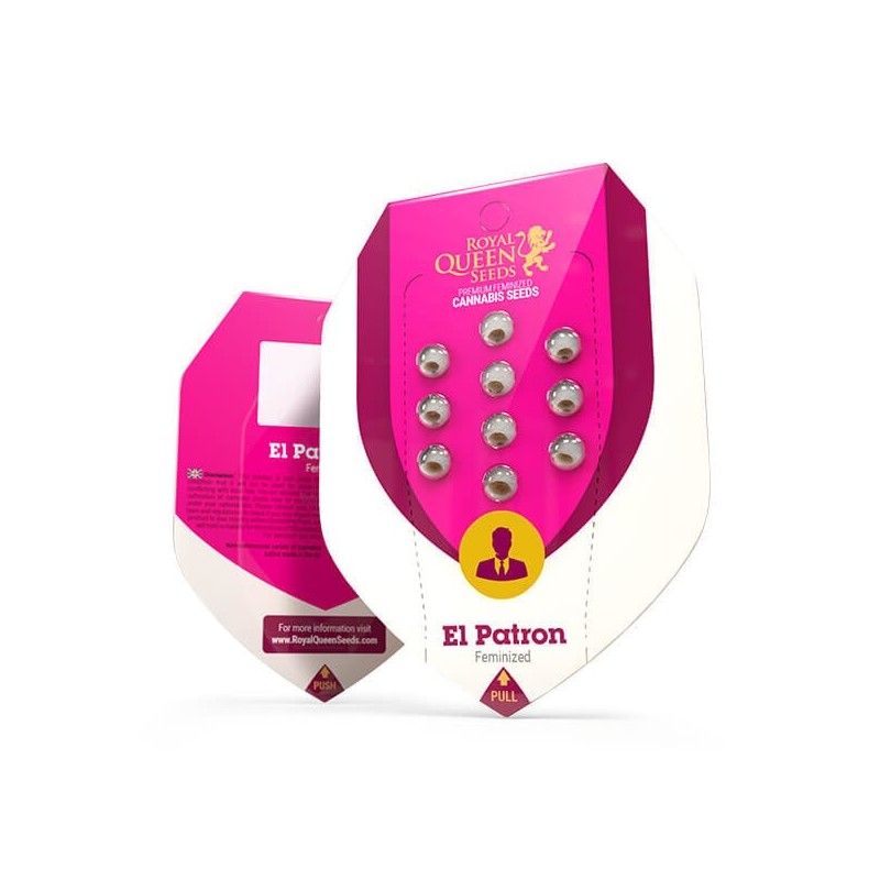 El Patron semi cannabis Royal Queen Seeds
