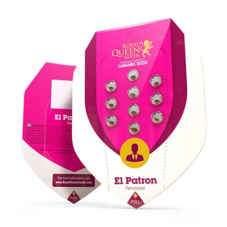El Patron semi cannabis Royal Queen Seeds