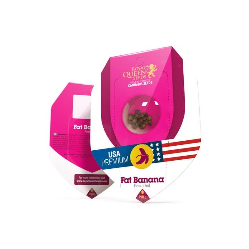 Fat Banana semi cannabis Royal Queen Seeds