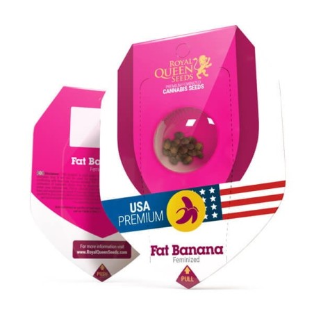 Fat Banana semi cannabis Royal Queen Seeds