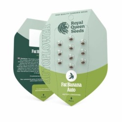 Fat Banana Auto semi cannabis Royal Queen Seeds
