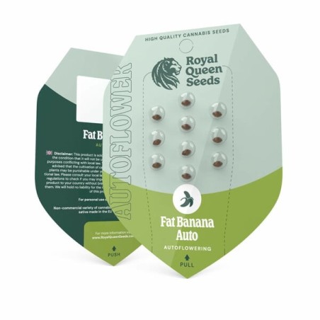 Fat Banana Auto semi cannabis Royal Queen Seeds