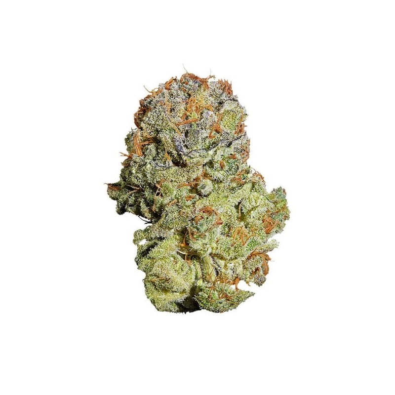 Fruit Spirit semi cannabis Royal Queen Seeds
