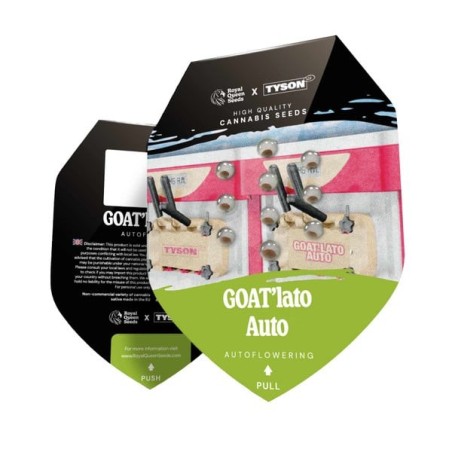 GOAT'lato Auto semi cannabis Royal Queen Seeds