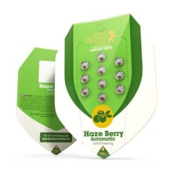Haze Berry Auto semi cannabis Royal Queen Seeds