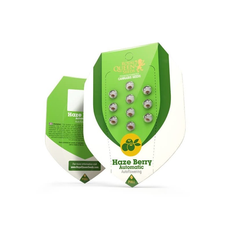 Haze Berry Auto semi cannabis Royal Queen Seeds