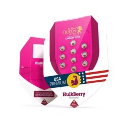 HulkBerry semi cannabis Royal Queen Seeds