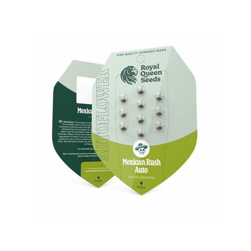 Mexican Rush Auto semi cannabis Royal Queen Seeds