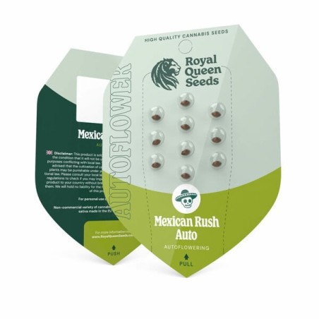 Mexican Rush Auto semi cannabis Royal Queen Seeds