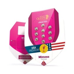 Mimosa semi cannabis Royal Queen Seeds