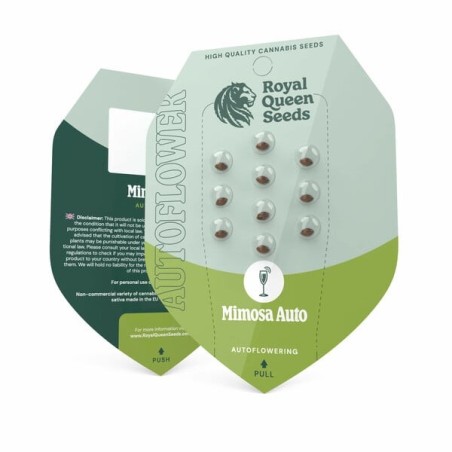Mimosa Auto semi cannabis Royal Queen Seeds