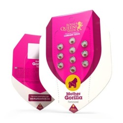 Mother Gorilla semi cannabis Royal Queen Seeds
