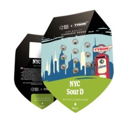 NYC Sour D Auto semi cannabis Royal Queen Seeds