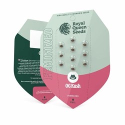 O.G. Kush semi cannabis Royal Queen Seeds