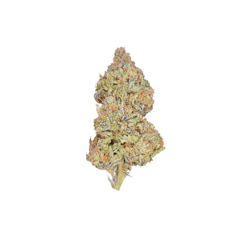 Pineapple Kush semi cannabis Royal Queen Seeds