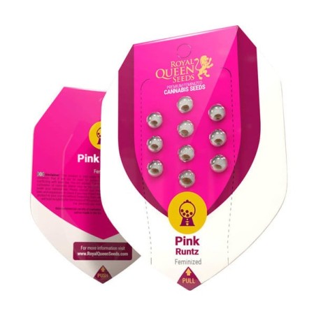 Pink Runtz semi cannabis Royal Queen Seeds