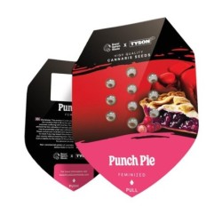 Punch Pie semi cannabis Royal Queen Seeds