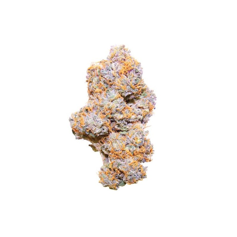 Purple Punch Auto semi cannabis Royal Queen Seeds