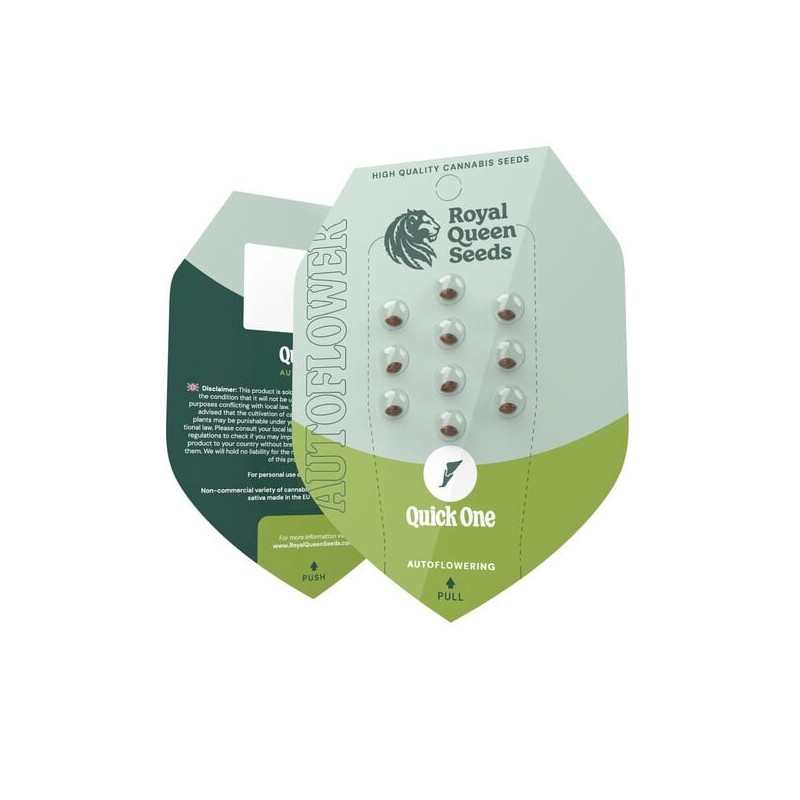 Quick One Auto semi cannabis Royal Queen Seeds