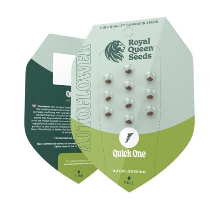 Quick One Auto semi cannabis Royal Queen Seeds