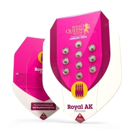 Royal AK semi cannabis Royal Queen Seeds