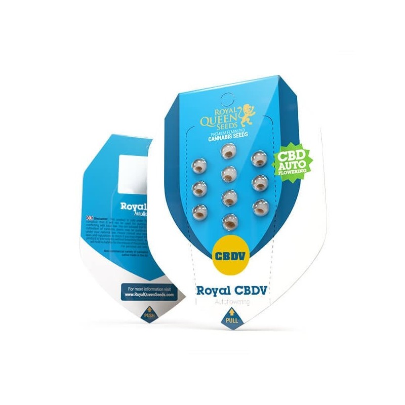 Royal CBDV Auto semi cannabis Royal Queen Seeds
