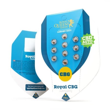Royal CBG Auto semi cannabis Royal Queen Seeds