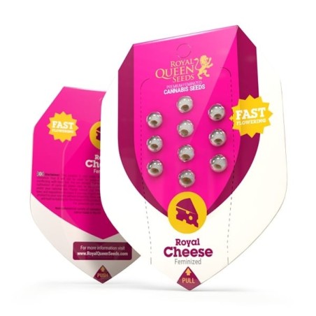 Royal Cheese FAST Version semi cannabis Royal Queen Seeds