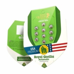 Royal Gorilla Auto semi cannabis Royal Queen Seeds