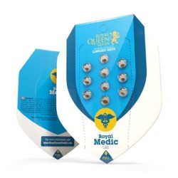 Royal Medic CBD semi cannabis Royal Queen Seeds