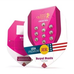 Royal Runtz semi cannabis Royal Queen Seeds