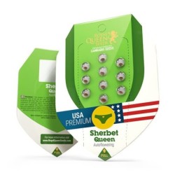 Sherbet Queen Auto semi cannabis Royal Queen Seeds
