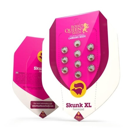 Skunk XL semi cannabis Royal Queen Seeds