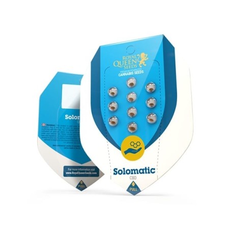 Solomatic CBD Auto semi cannabis Royal Queen Seeds