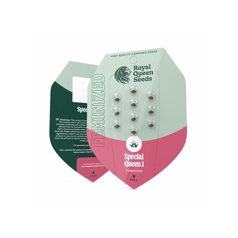 Special Queen  numero 1 semi cannabis Royal Queen Seeds