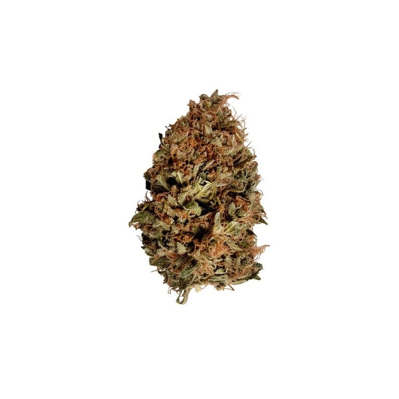 Stress Killer CBD Auto semi cannabis Royal Queen Seeds