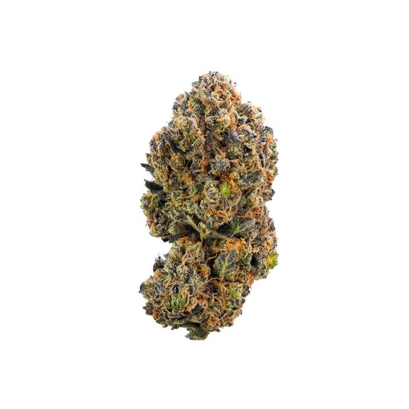 Sweet ZZ semi cannabis Royal Queen Seeds