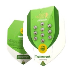 Trainwreck Auto semi cannabis Royal Queen Seeds