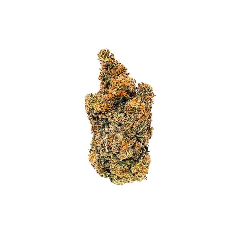 Triple G semi cannabis Royal Queen Seeds